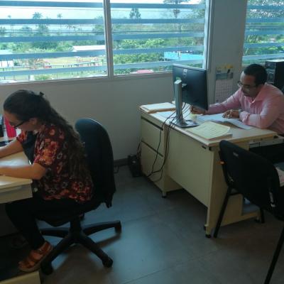 Mujer y hombres sentados en sus respectivos escritorios