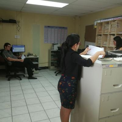 Mujer de pie revisando folletos